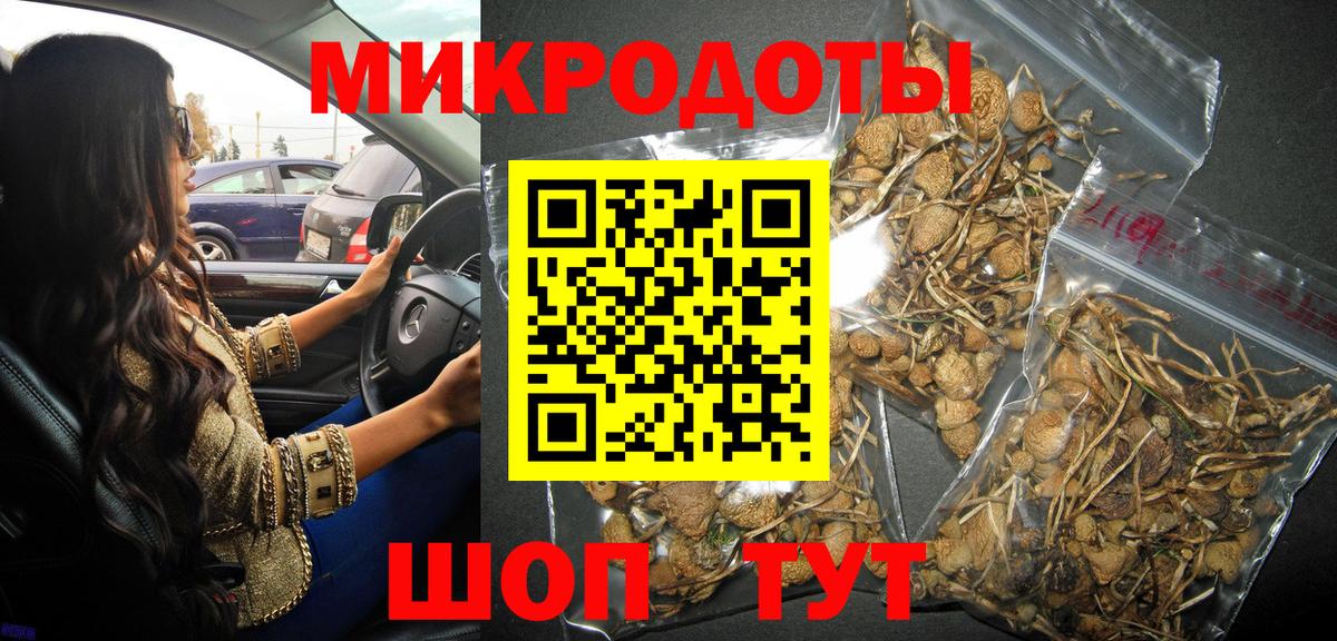 Железногорск  Псилоцибиновые грибы GOLDEN TEACHER  Вход с VPN 